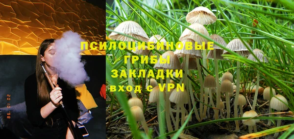 дживик Армянск